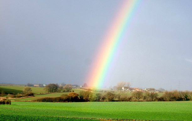 Rainbow at Tom Walker and Sons